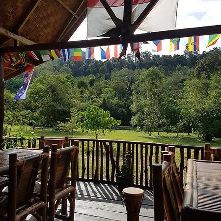 Batu Kapal Guest House & Jungle Trekking Букит Лаванг Екстериор снимка