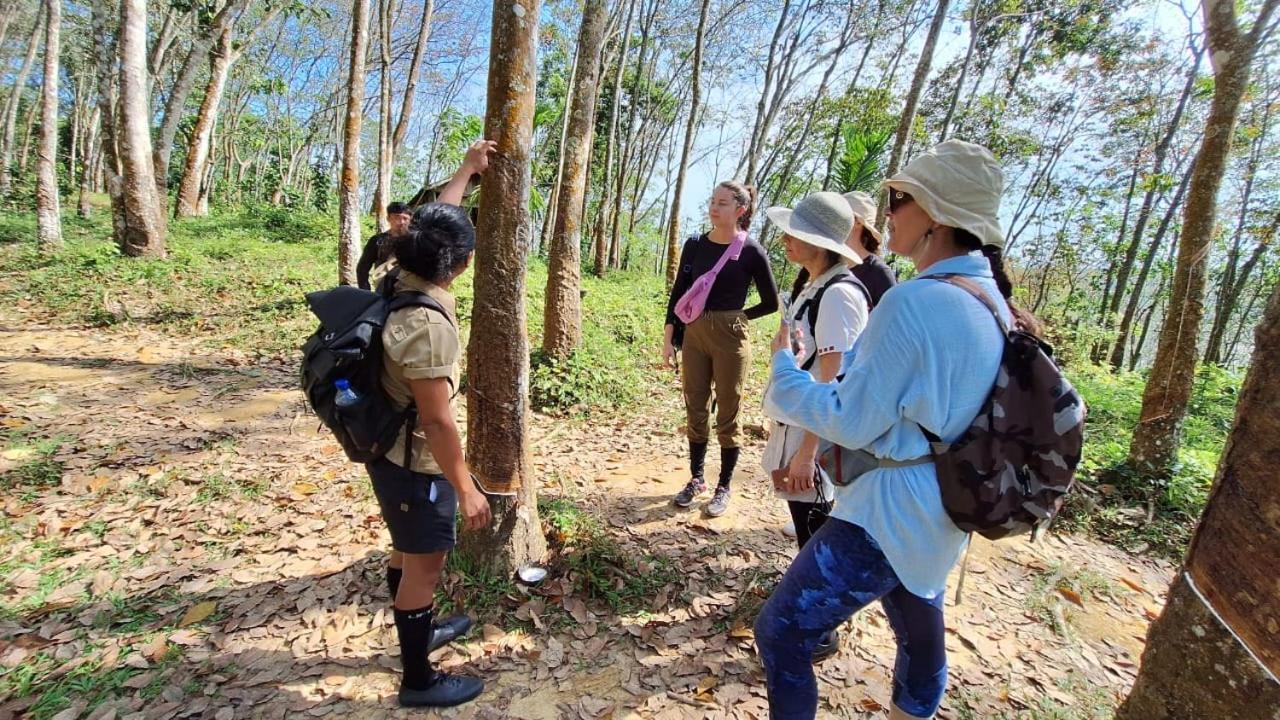 Batu Kapal Guest House & Jungle Trekking Букит Лаванг Екстериор снимка