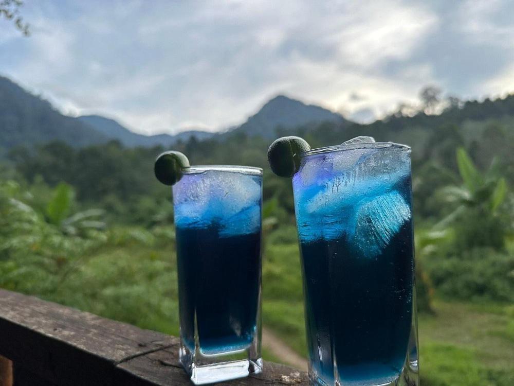 Batu Kapal Guest House & Jungle Trekking Букит Лаванг Екстериор снимка