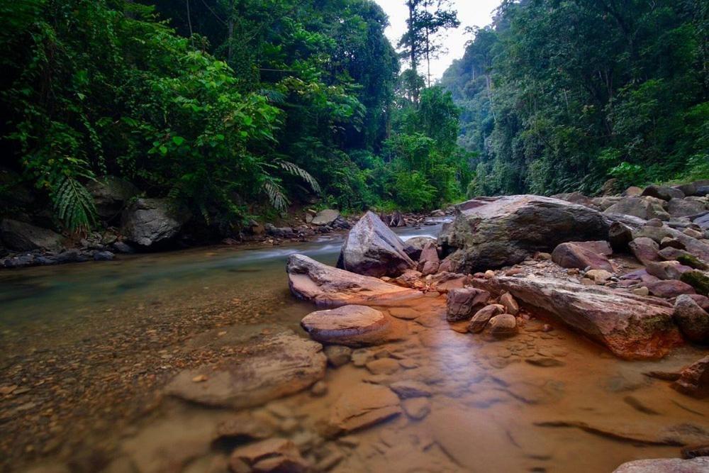 Batu Kapal Guest House & Jungle Trekking Букит Лаванг Екстериор снимка