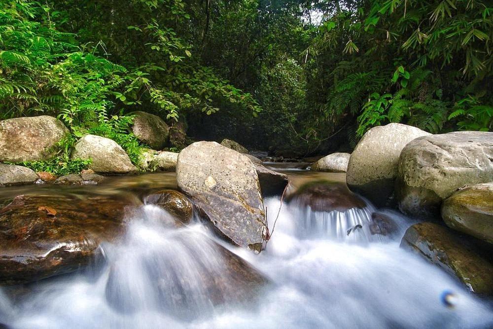 Batu Kapal Guest House & Jungle Trekking Букит Лаванг Екстериор снимка