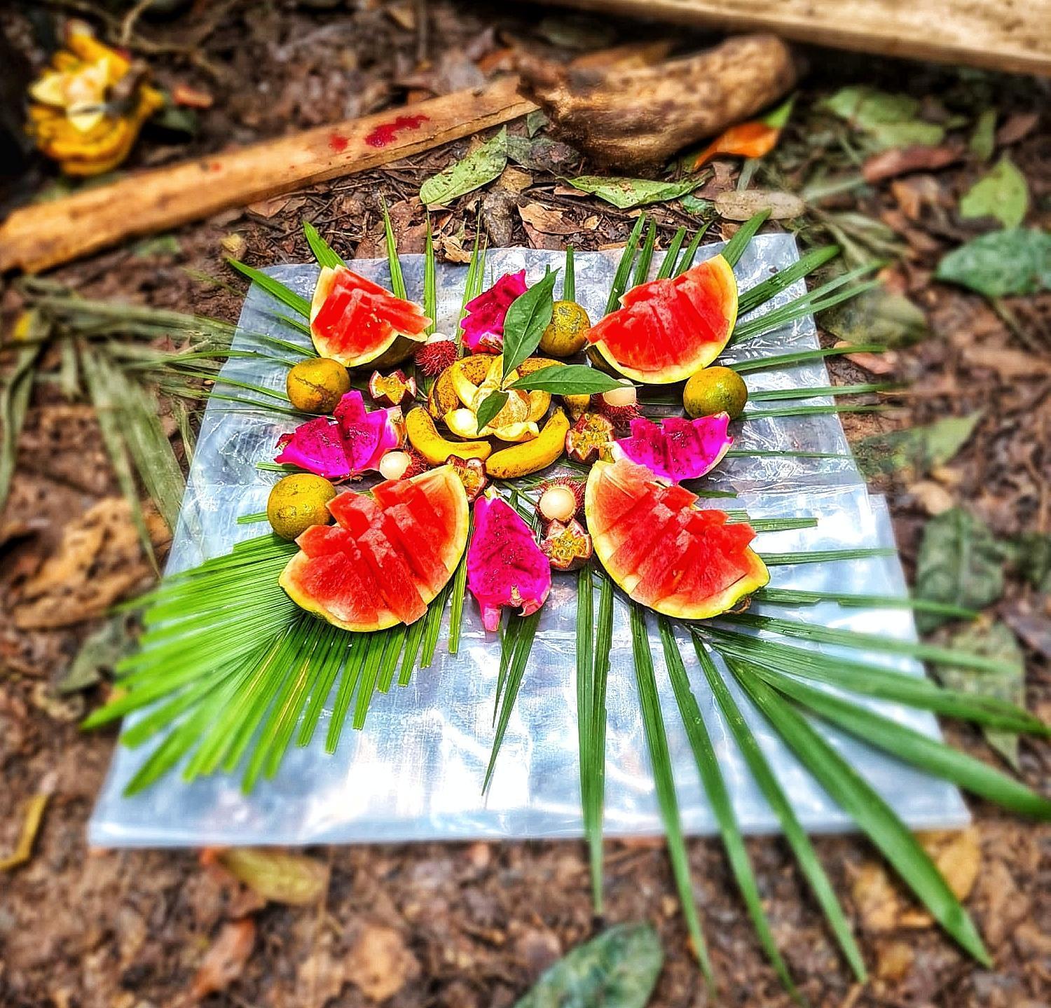 Batu Kapal Guest House & Jungle Trekking Букит Лаванг Екстериор снимка