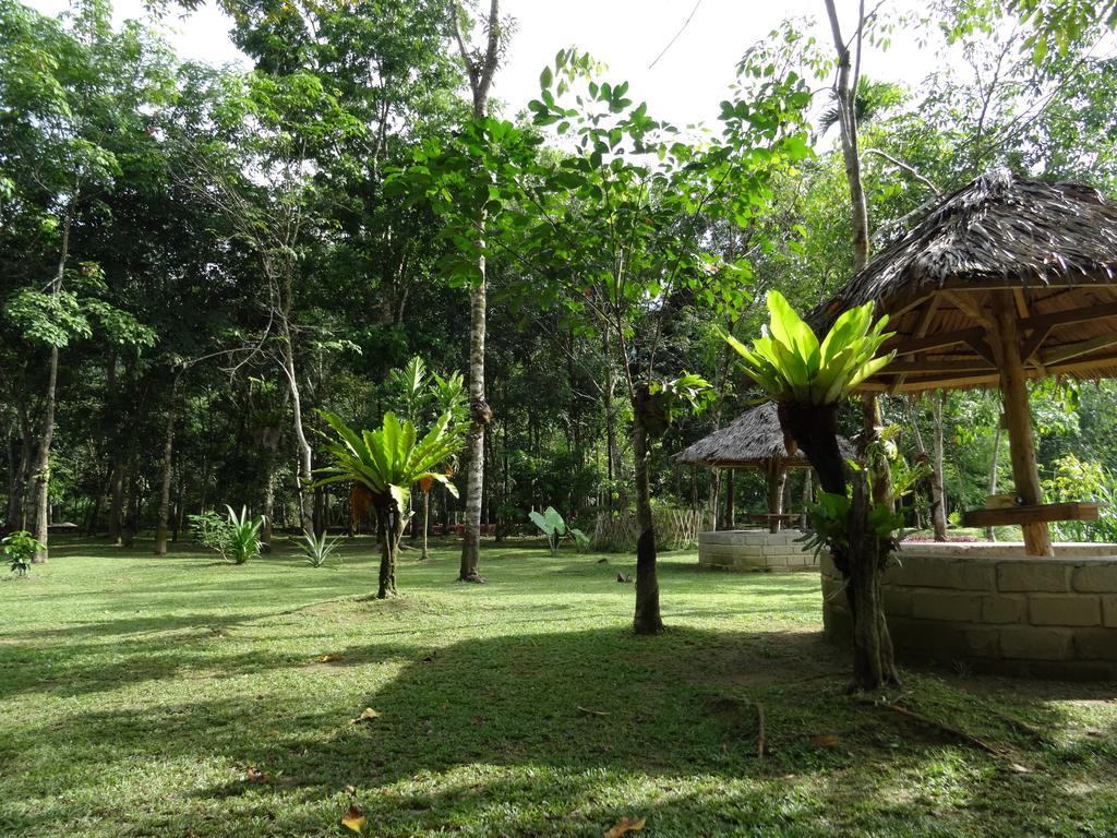 Batu Kapal Guest House & Jungle Trekking Букит Лаванг Екстериор снимка