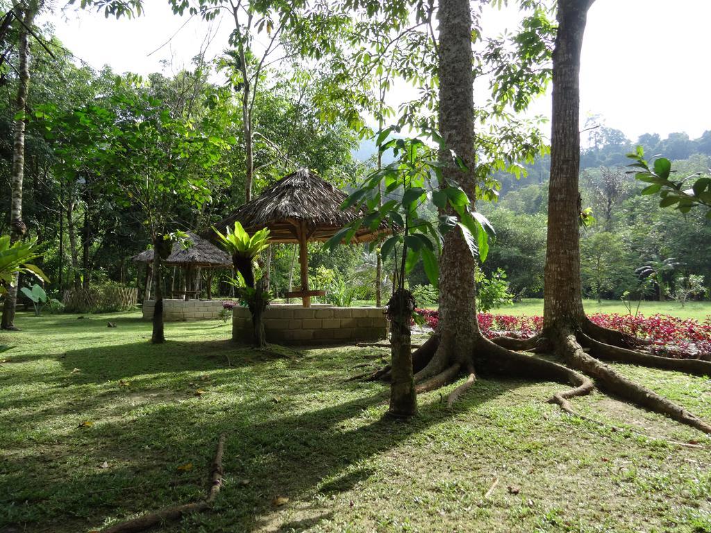 Batu Kapal Guest House & Jungle Trekking Букит Лаванг Екстериор снимка