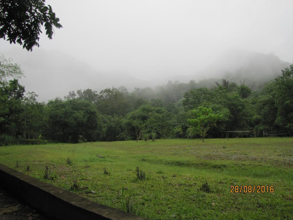 Batu Kapal Guest House & Jungle Trekking Букит Лаванг Екстериор снимка