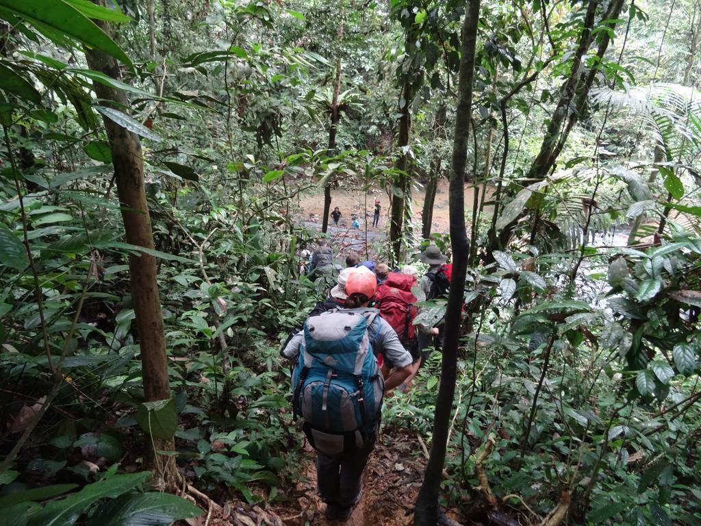 Batu Kapal Guest House & Jungle Trekking Букит Лаванг Екстериор снимка