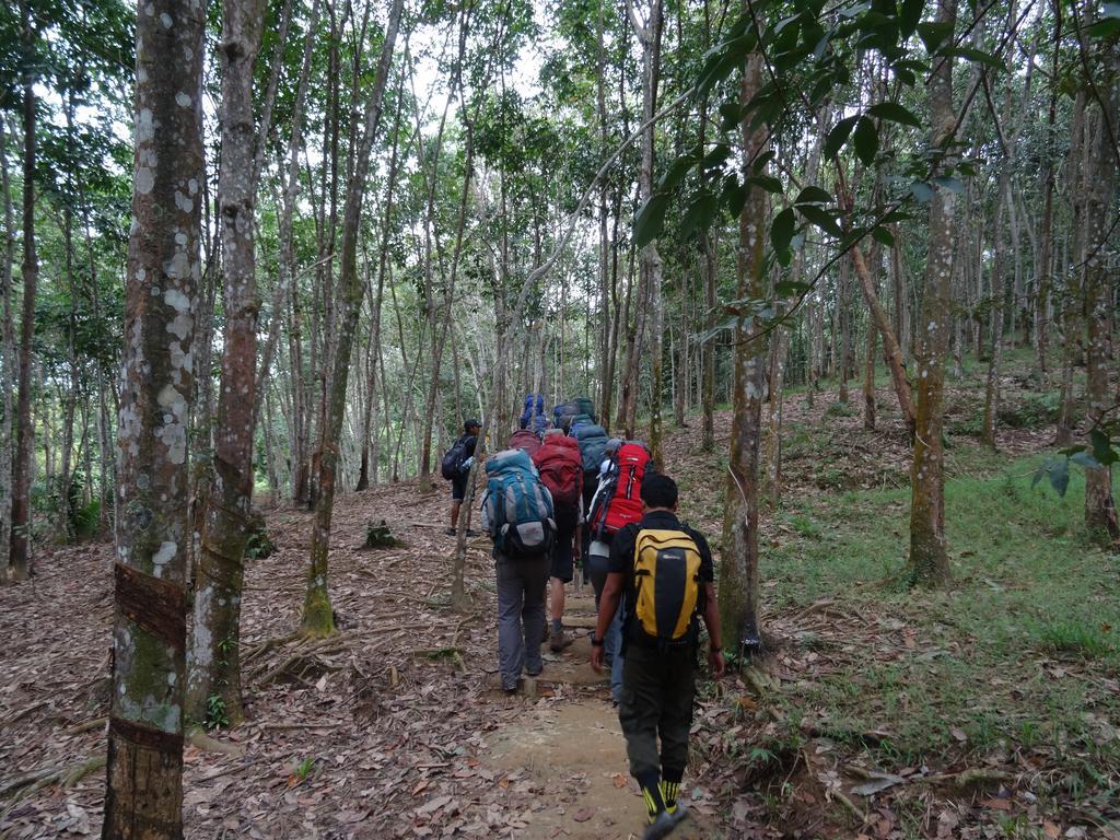 Batu Kapal Guest House & Jungle Trekking Букит Лаванг Екстериор снимка