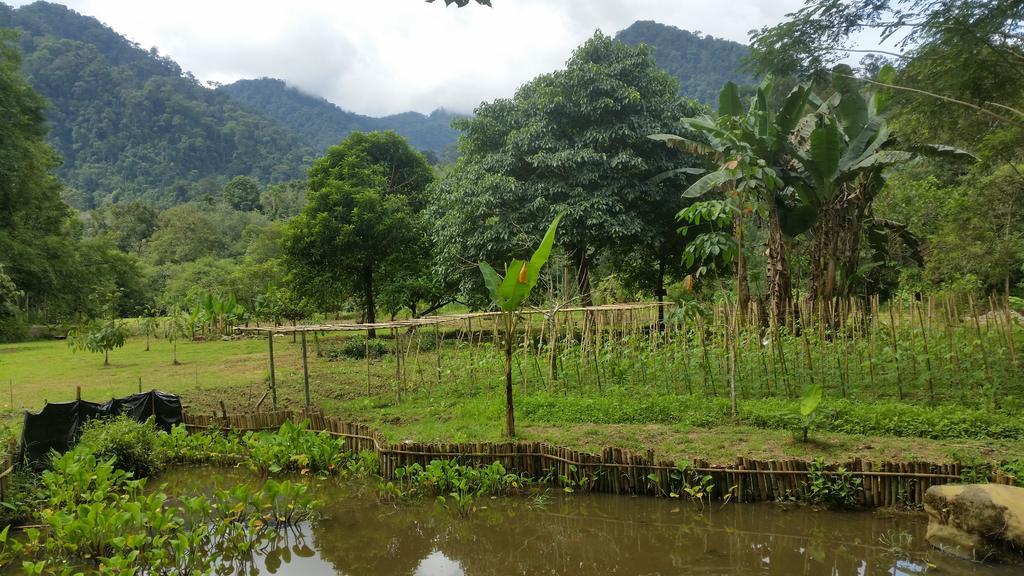 Batu Kapal Guest House & Jungle Trekking Букит Лаванг Екстериор снимка