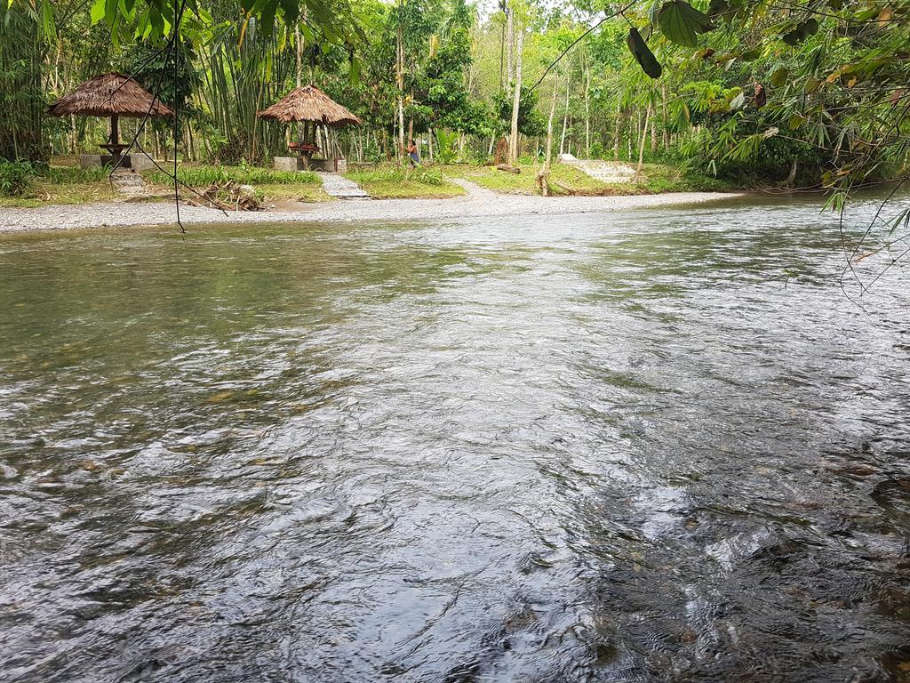 Batu Kapal Guest House & Jungle Trekking Букит Лаванг Екстериор снимка