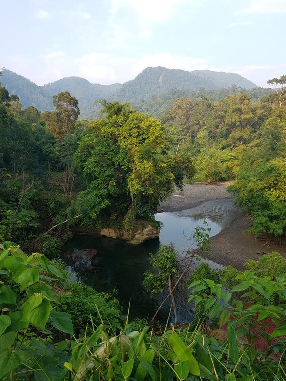Batu Kapal Guest House & Jungle Trekking Букит Лаванг Екстериор снимка